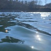 1/21(土)大活躍！こども営業ぶちょー⭐︎三河湖釣り情報💦