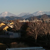 今年も行ってきました福島の桃源郷「花見山」へ　～後編～