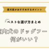 室内犬のドッグフード何がいい？ベストな選び方と愛犬家がおすすめするポイント