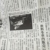 五十六さん新聞デビュー☆