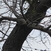 軽く闘病日記～今日の体調～