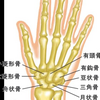 腱鞘炎、バネ指の原因