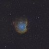 NGC2174 モンキーフェイス星雲