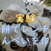 【実験】お餅でレンチンせんべいを作る！