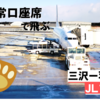 【搭乗レポ】JAL737国際線仕様機の非常口座席