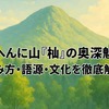 木へんに山『杣』の奥深魅力―読み方・語源・文化を徹底解説