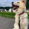 2023年8月15日