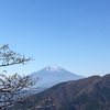 【登山記録】紅葉真っ盛りの大山に6歳娘と登って来た！