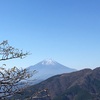 【登山記録】紅葉真っ盛りの大山に6歳娘と登って来た！