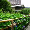 姉妹でお泊まり２００９　第二弾！　その１