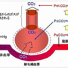 PetCO2とは何か