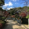 倉敷市 まきび公園の紅葉&#127809;