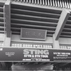 『STING in 日本武道館』。