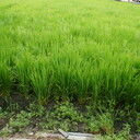 中野南blog