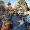 川崎大師様へおまいり