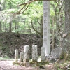 富士山は遠きにありて思ふもの　　2