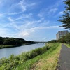 久々の川べりサイクリング