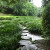 雨の水前寺