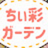 まさかのドラキュラGET&購入苗紹介とひとめぼれプランターで寄せ植え