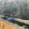 2月15日(日)秩父フライフィールドの河川情報
