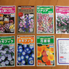 来春用の花のタネ