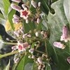 口、目、話す、見る、素晴しい、前と関係がある言葉