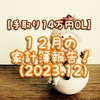 【手取り14万円OL】１２月の家計簿報告！（2023.12）