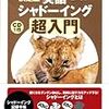 ここ1年くらいの英語学習とりまとめ (2) 教材編