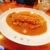 大阪の食べログ1位？！テレビで紹介されてた大人気カレー屋さん白銀亭 ！