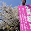 小金井桜まつり2018〜土曜の夜桜に続き日曜は昼桜〜