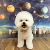 ★わさびくん★