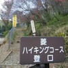 だ～れもいない山散歩🐾