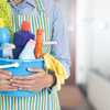 20 Trailblazers Leading the Way in Home Cleaning
