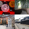 【観光】人込みを避けたい人必見！静かな京都の寺社を満喫できる超おすすめスポット6選