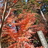 北鎌倉、円覚寺の紅葉