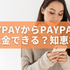 PayPayからPayPalに送金できる？【知恵袋で話題の真相と現実的な代替案】