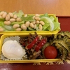 ぜんまい★弁当