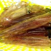 早春マルイカへ、鴨居から