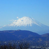 土曜日弘法山をハイキング