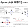 【時間精神の抽出】「多態化(polymorph)」と「単体化(monomorph)」