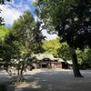 光の色に、新緑を想う皐月の熱田さん。