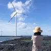 済州島(チェジュ島)フォトスポット　#映画やドラマのロケ地にもなった「新昌風車海岸道路」