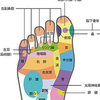 動脈硬化とアキレス腱硬化