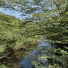 南出口バス停〜蔵王公園〜大洞山〜倉骨峠〜尼ヶ岳〜大タワ〜下太郎生〜上出バス停縦走