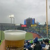 神宮球場へ野球観戦に行ってビールをたくさん飲んだよ。そしてヤクルトスワローズは破竹の２連勝をきめました。