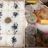 大好き！シュウマイ弁当！