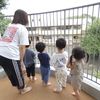 やっほー♪♪♪
