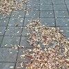 同僚に感化されないよう、せいぜい精進いたします…