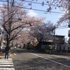 都内の桜2019