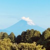 今朝の景色